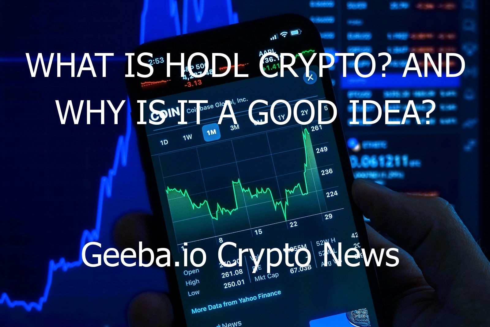 what is hodl crypto and why is it a good idea 1998