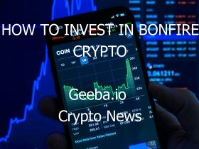 how to invest in bonfire crypto 6713